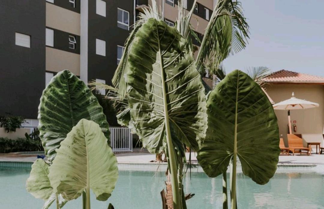 Jardim Das Palmeiras II Home Resort Убатуба Екстериор снимка